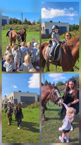 548792990 1273680484556854 2702120171706496102 n