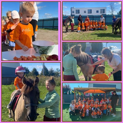 Dzień Przedszkolaka - Kawaliada