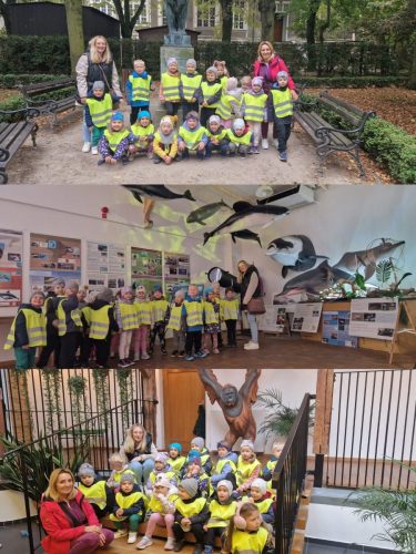 556086813 1283042673620635 4603375531086742232 n