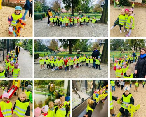 556197238 1283042310287338 2857469207769212274 n