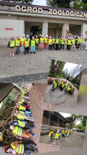 556290102 1283042276954008 4897969921630226719 n