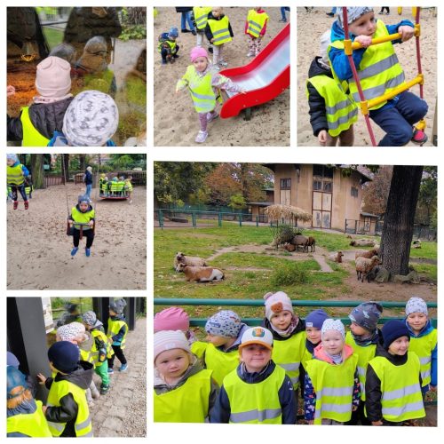 556470281 1283036923621210 7316766485669025493 n