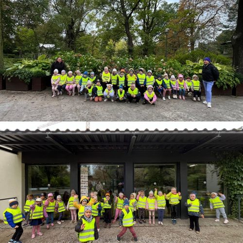 557290098 1283036830287886 5457937055687871314 n