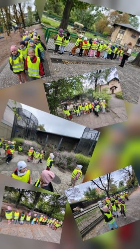 557533637 1283039706954265 5333509075832001641 n