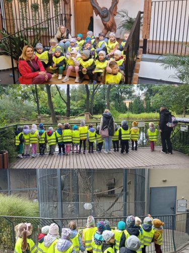 557691250 1283042616953974 4548756796729280633 n